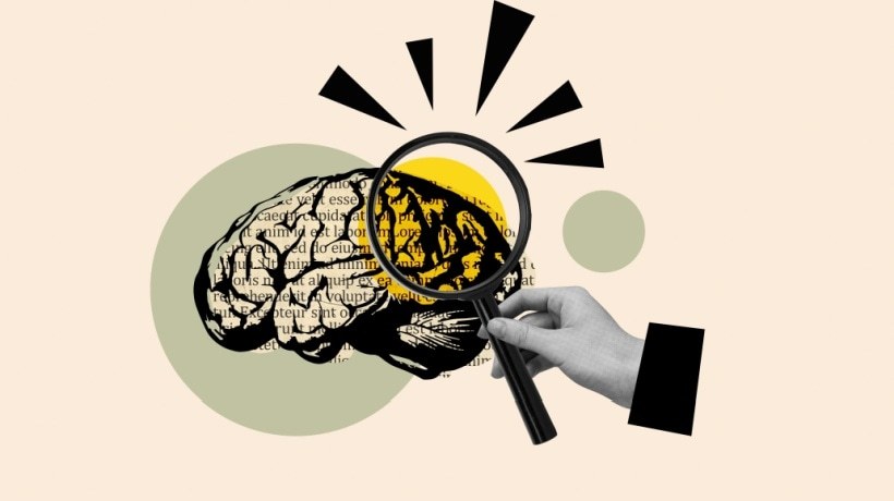 Neurolearning: How The Brain's Ancient Storytelling Circuits Drive eLearning Success