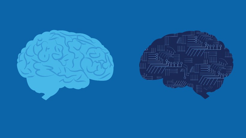 SMEs In The Age Of AI: When Expertise Matters Most